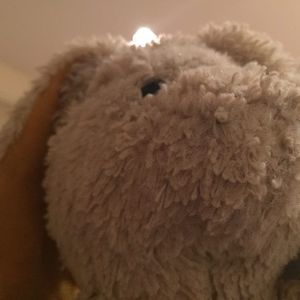 Meet your Posher, Carmen